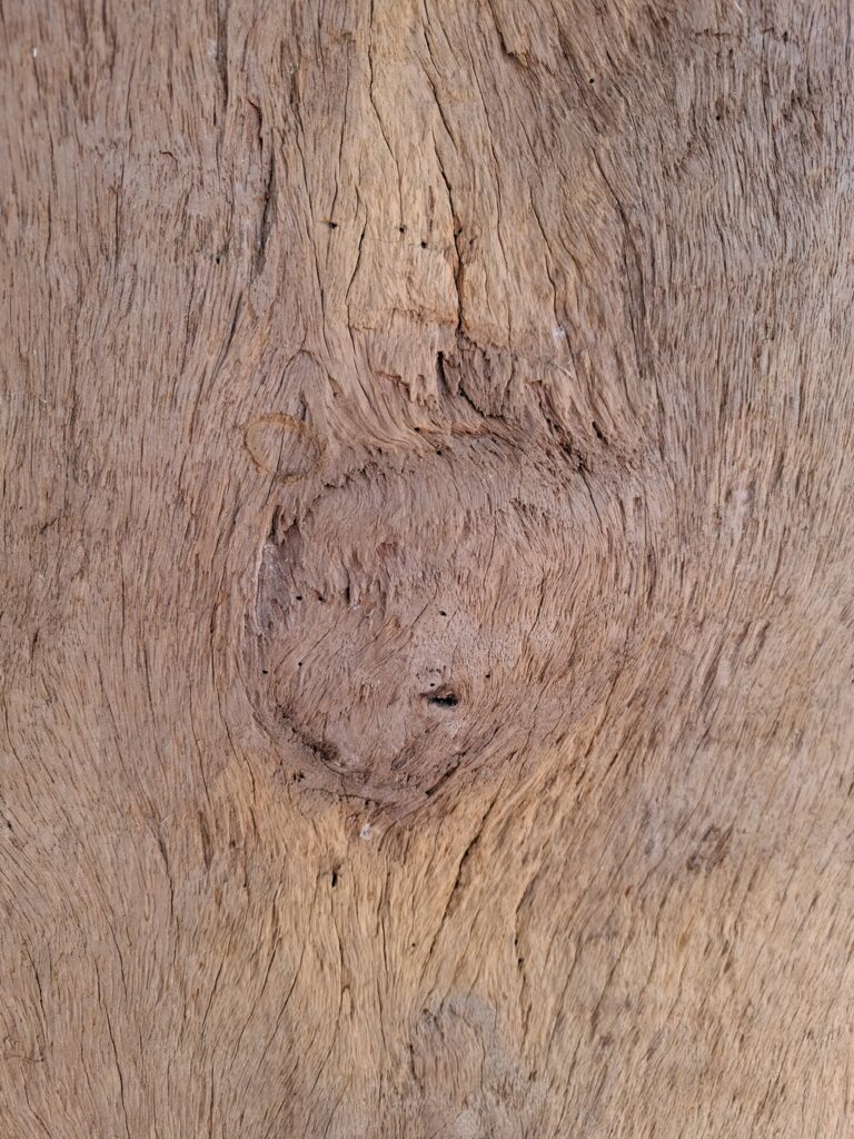 antique wooden from South India